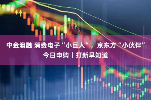 中金澳融 消费电子“小巨人”，京东方“小伙伴”今日申购丨打新早知道