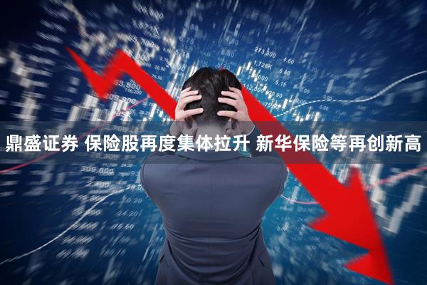 鼎盛证券 保险股再度集体拉升 新华保险等再创新高